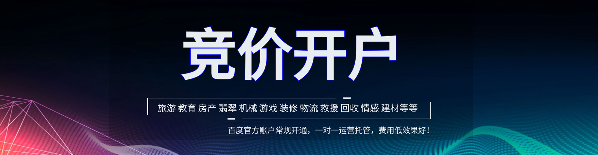 维西sem运营